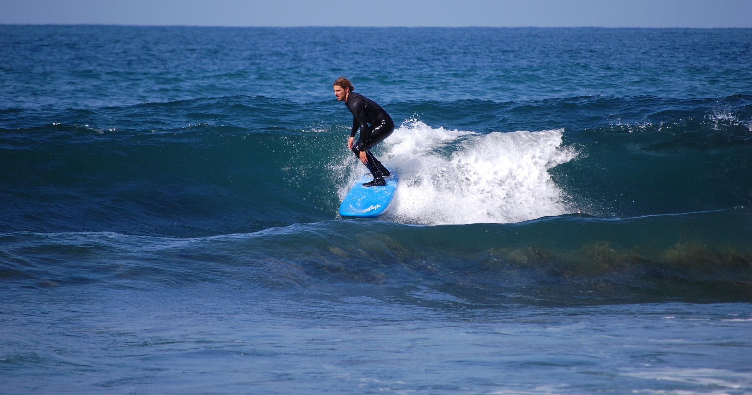 Surfing or Paddle Boarding Lessons at Laguna Beach: Reefs, Hidden Beaches, Dolphins, Marine Life, and More image 13
