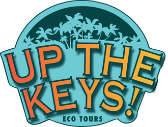 Up The Keys