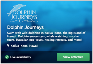 Dolphin Journeys