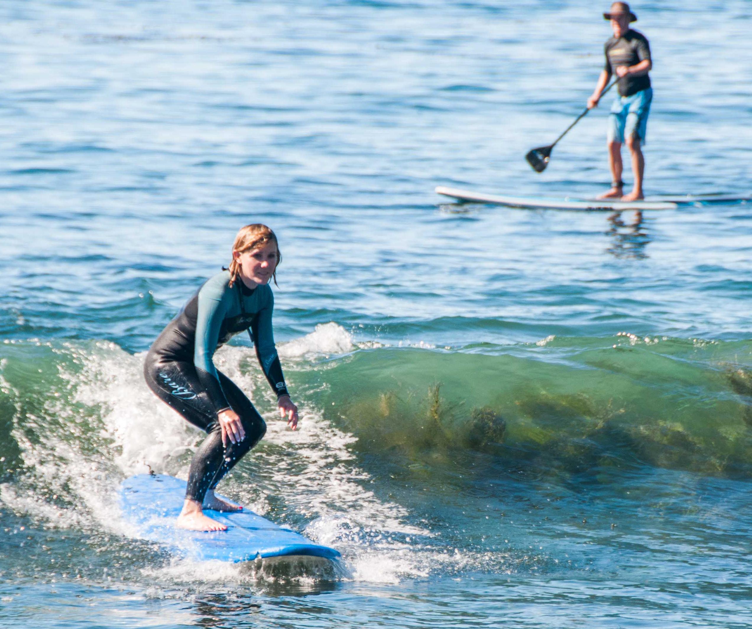 Surfing or Paddle Boarding Lessons at Laguna Beach: Reefs, Hidden Beaches, Dolphins, Marine Life, and More image 3