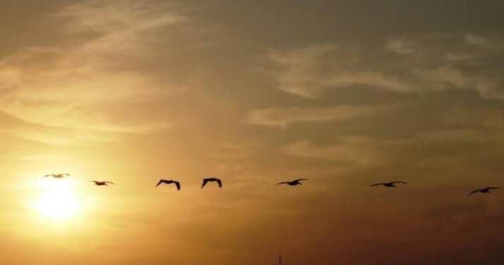 Sunset Cruise on the Charleston Harbor