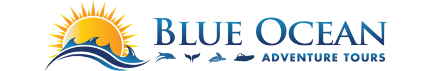 Blue Ocean Adventure Tours