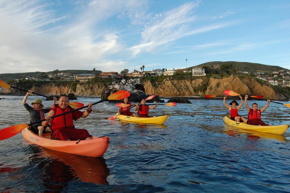 Ocean Kayak Eco Tour & Wildlife Viewing: Sea Lions, Dolphins, Whales image 16