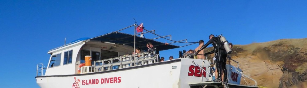 Private Charter Adventure in Honolulu, Hawaii - Honolulu