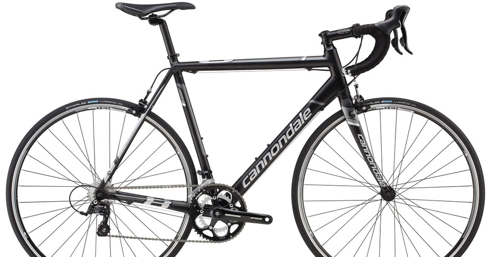 Explore Santa Monica with Road Bike Rentals from Unlimited Biking - Los Angeles
