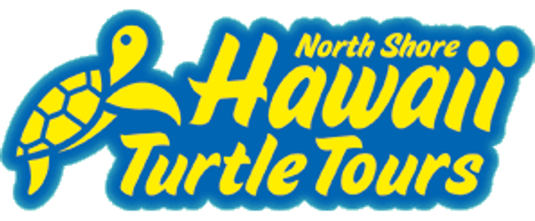 Hawaii Turtle Tours