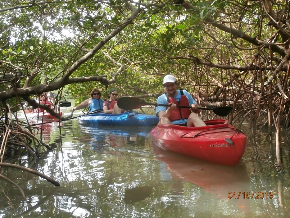 Mangrove Mazes of Matlacha Pass Kayak Tour