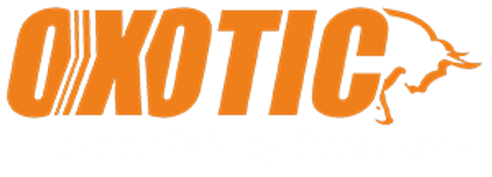 Oxotic Supercar Driving Experience