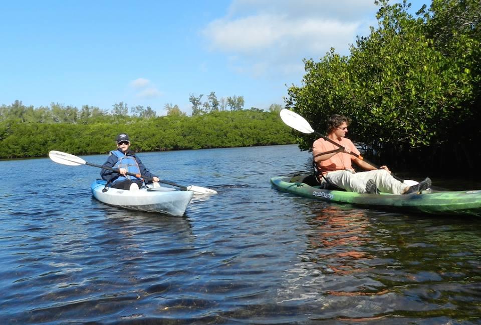 Morning Guided Mangrove Tunnel Tours