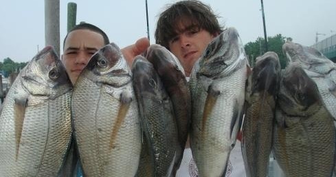 City Island, NY: Jumbo Porgy Fishing Trip