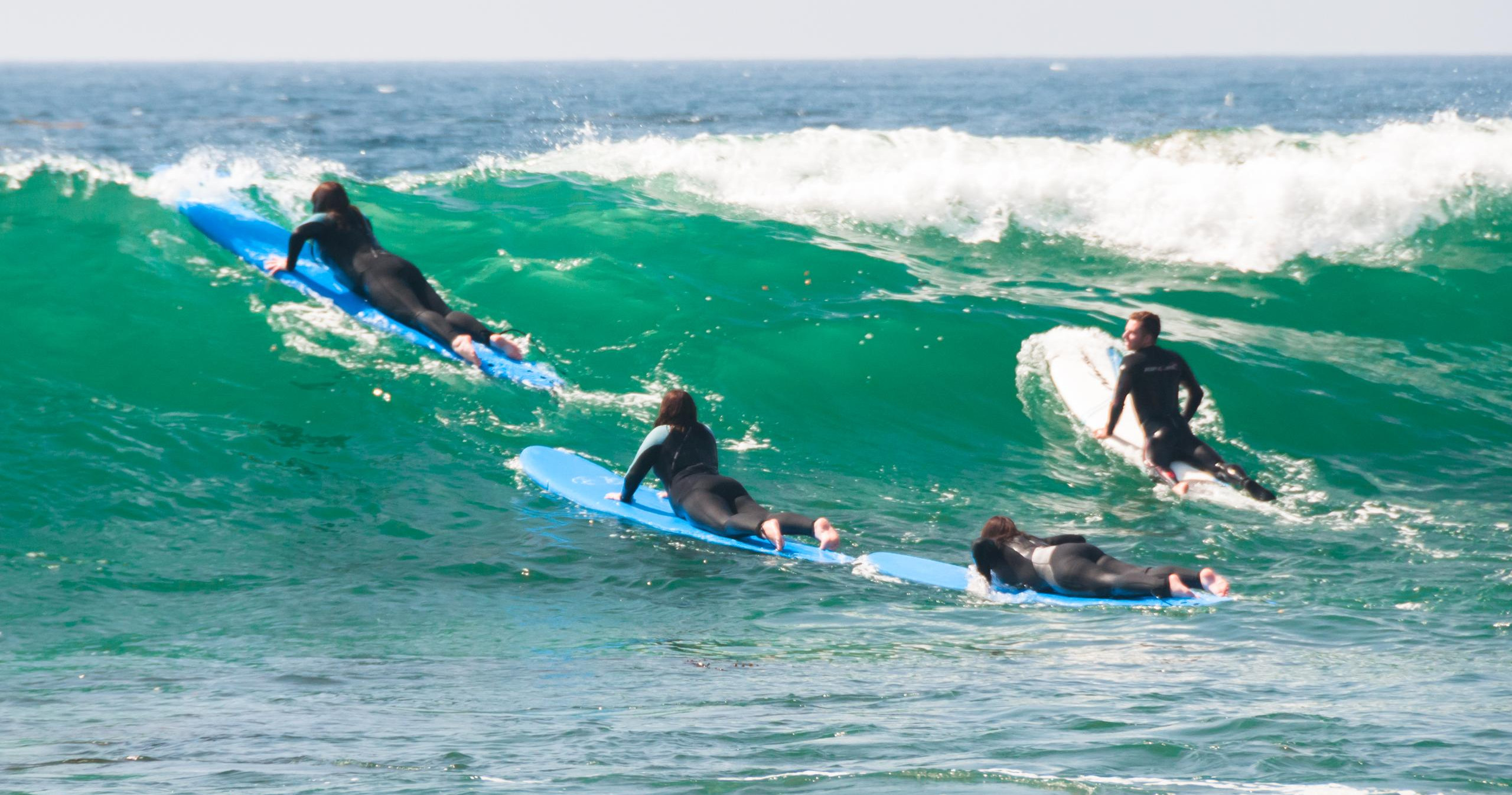 Surfing or Paddle Boarding Lessons at Laguna Beach: Reefs, Hidden Beaches, Dolphins, Marine Life, and More image 12