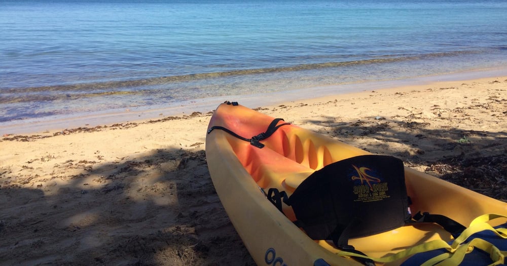 Kayak Rental