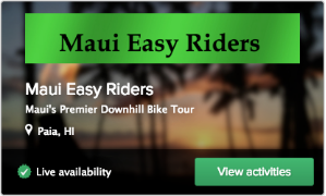 Maui Easy Riders